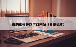 舞钢白鹅素材特效下载网站（白鹅摄影）
